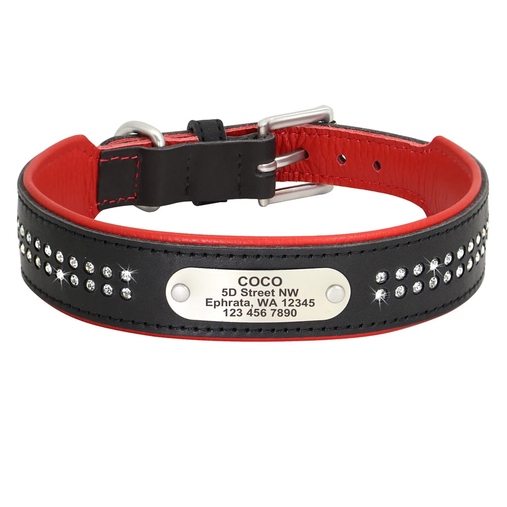 Dazzling Bling Bling Personalized Dog Collar