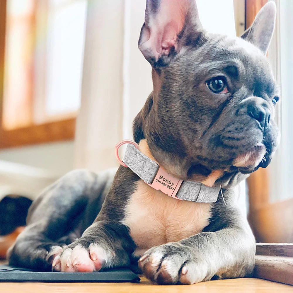 Rosy Paws Luxe Set