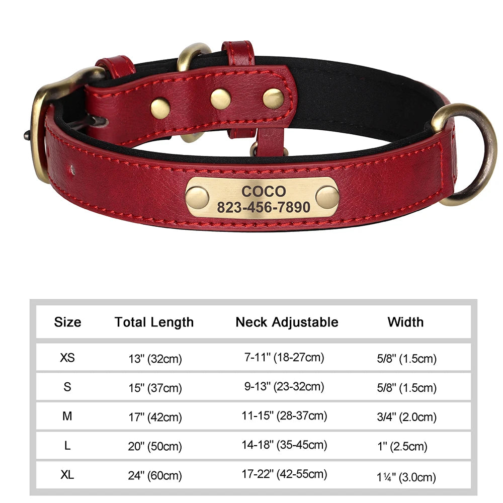 Vibrant Pet Name Tag Collar