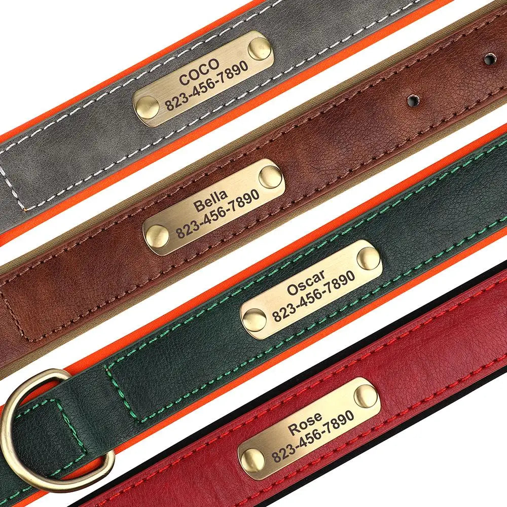 Vibrant Pet Name Tag Collar