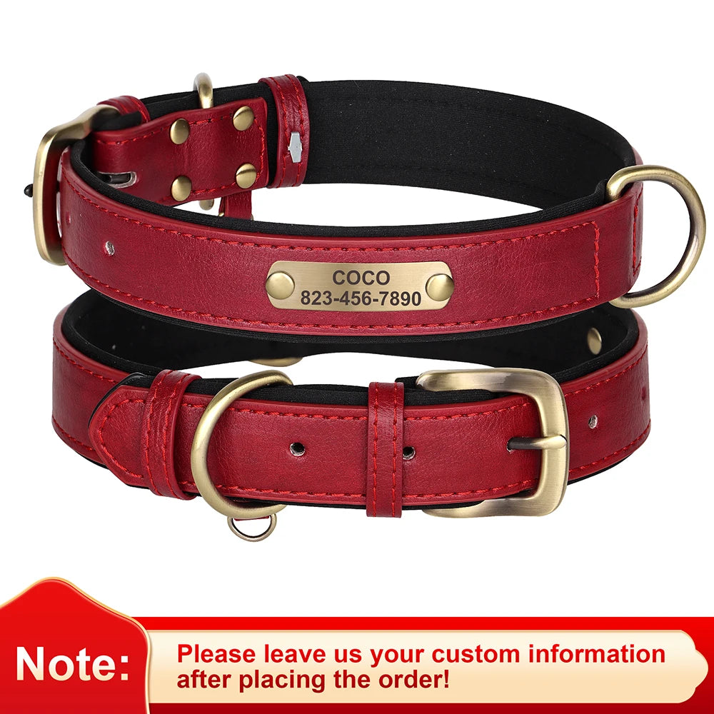 Vibrant Pet Name Tag Collar