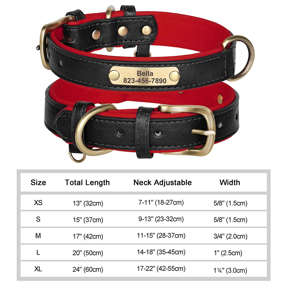 Vibrant Pet Name Tag Collar
