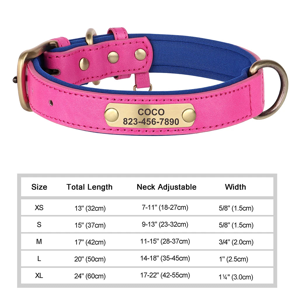 Vibrant Pet Name Tag Collar