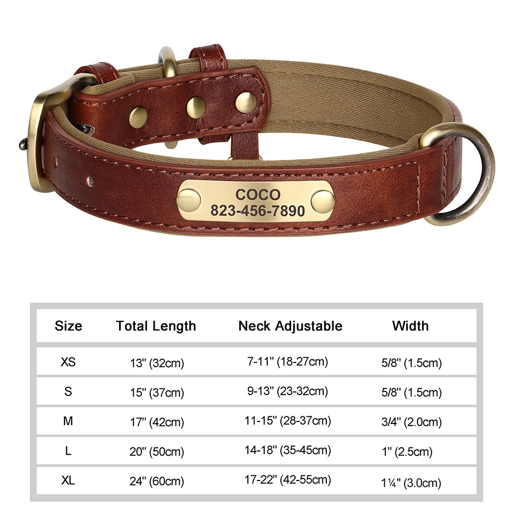 Vibrant Pet Name Tag Collar