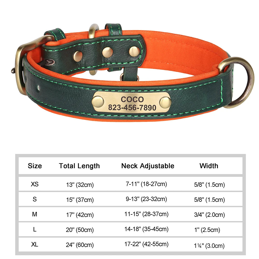 Vibrant Pet Name Tag Collar