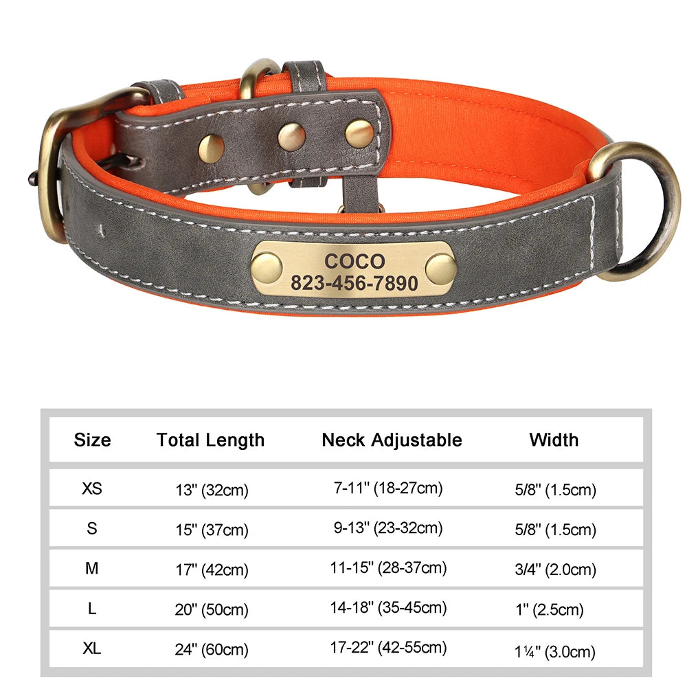 Vibrant Pet Name Tag Collar