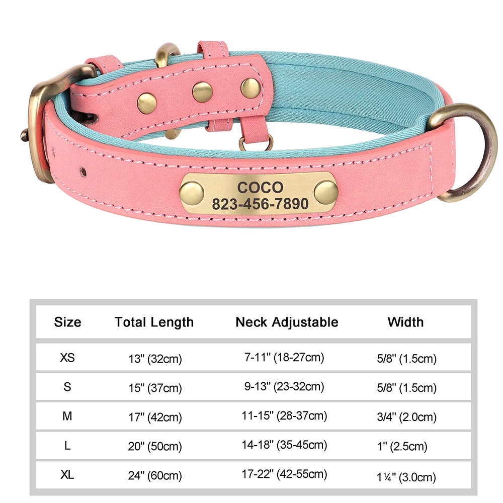 Vibrant Pet Name Tag Collar