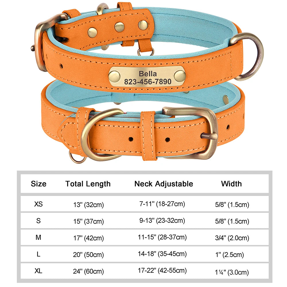 Vibrant Pet Name Tag Collar