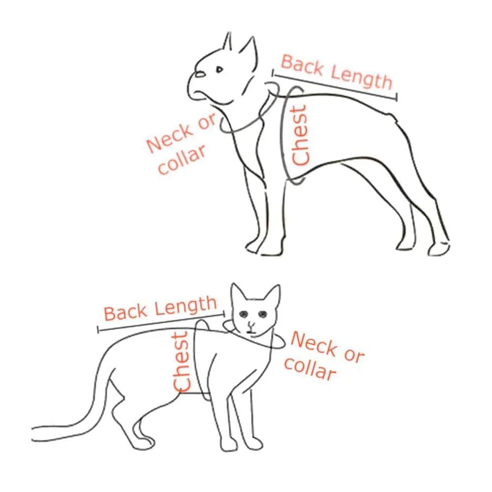 All Season Vest Harness & Leash Combo - PetTagCollars.com