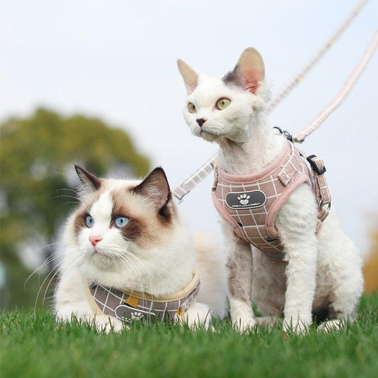 All Season Vest Harness & Leash Combo - PetTagCollars.com