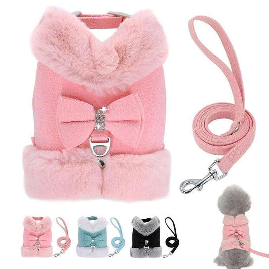 Chic Paws Elegance Set - PetTagCollars.com