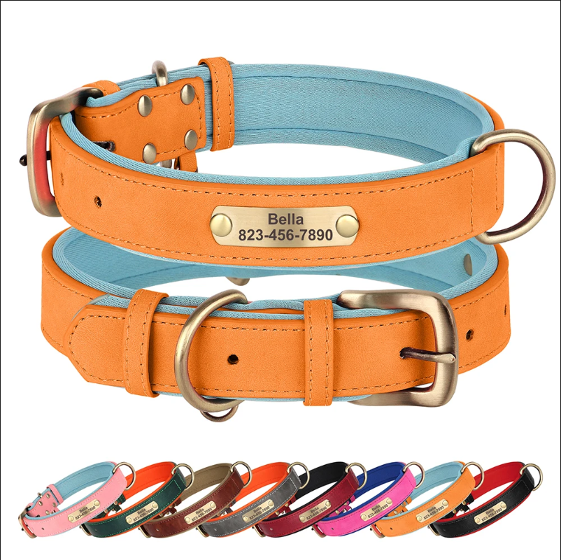 Vibrant Pet Name Tag Collar