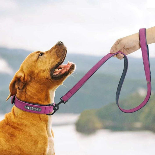 DiDog Genuine Leather Custom Name Tag Pet ID Collar & Leash - PetTagCollars.com