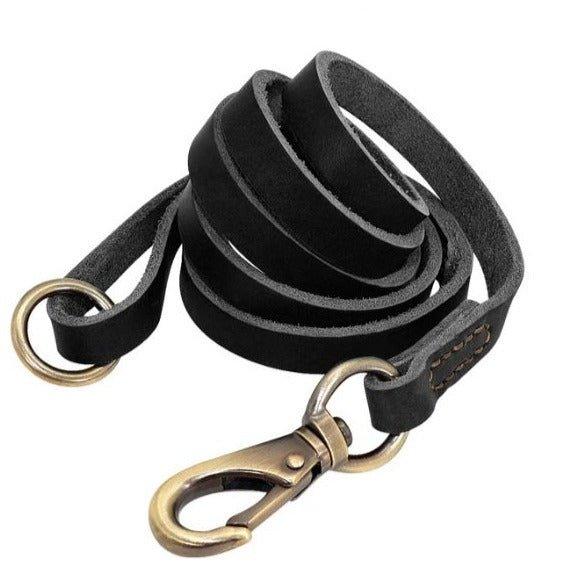 Extra Long Genuine Leather Dog Leash - 17: FancyPetTags.com