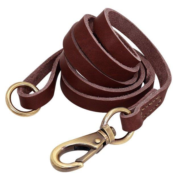 Extra Long Genuine Leather Dog Leash - 15: FancyPetTags.com