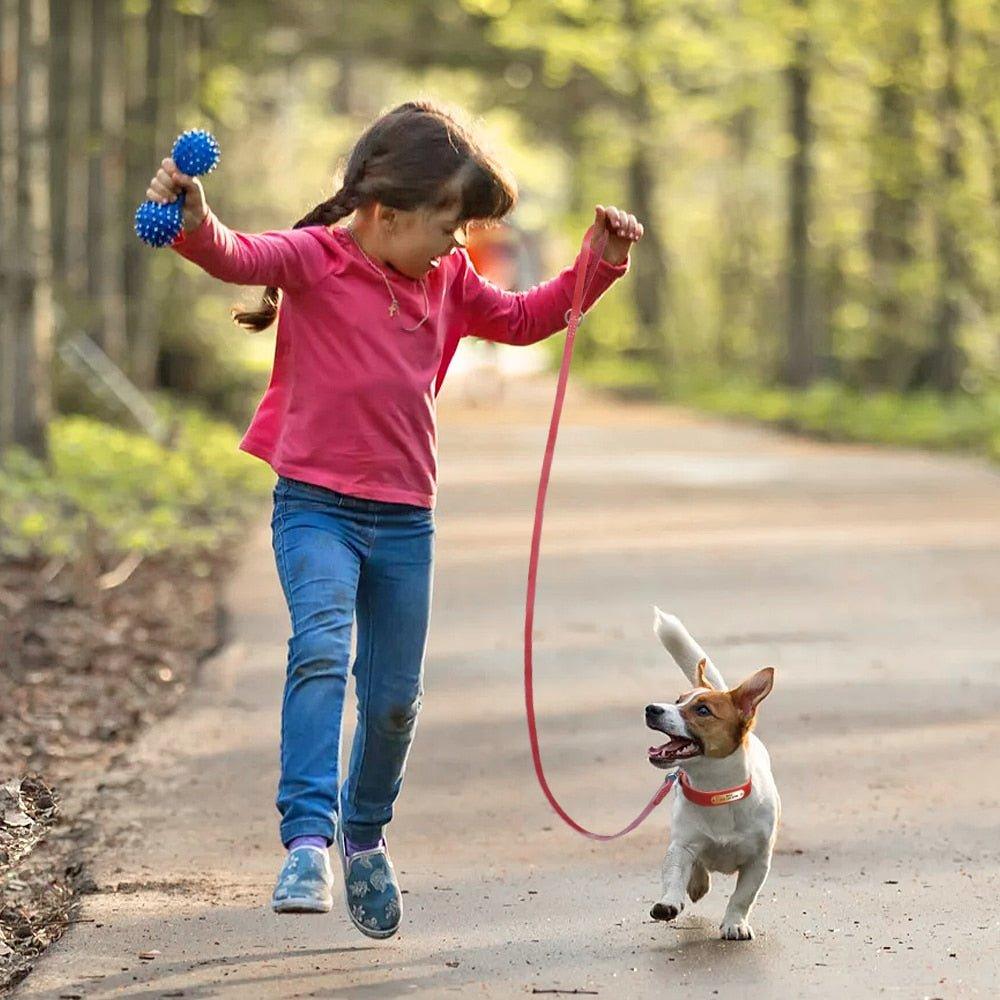 Extra Long Genuine Leather Dog Leash - 3: FancyPetTags.com