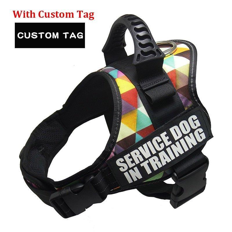 K9 Personalized Lift Handle Back Clip Harness Vest - 12: FancyPetTags.com