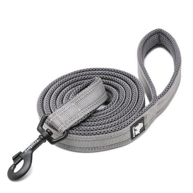 6.6" Long Truelove Blaze Reflective Leash - PetTagCollars.com