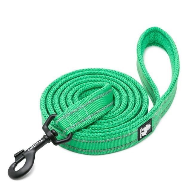 Long 6.6" Truelove Reflective Nylon Mesh Soft Pet Leash Truelove
