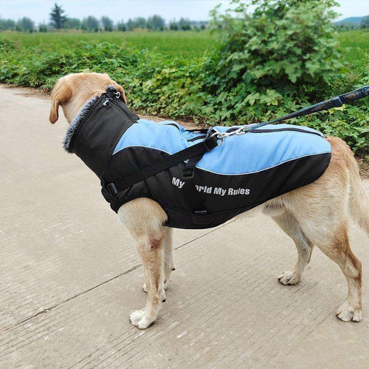 'My World My Rules' Back Clip Winter Harness Vest Jacket - PetTagCollars.com