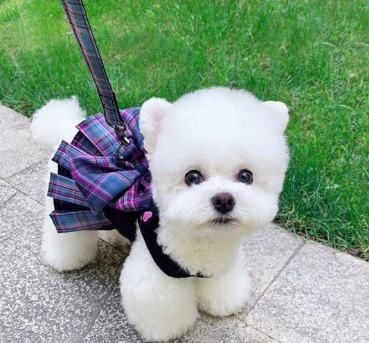 Darling Plaid Dress Back Clip Harness Leash Combo - PetTagCollars.com