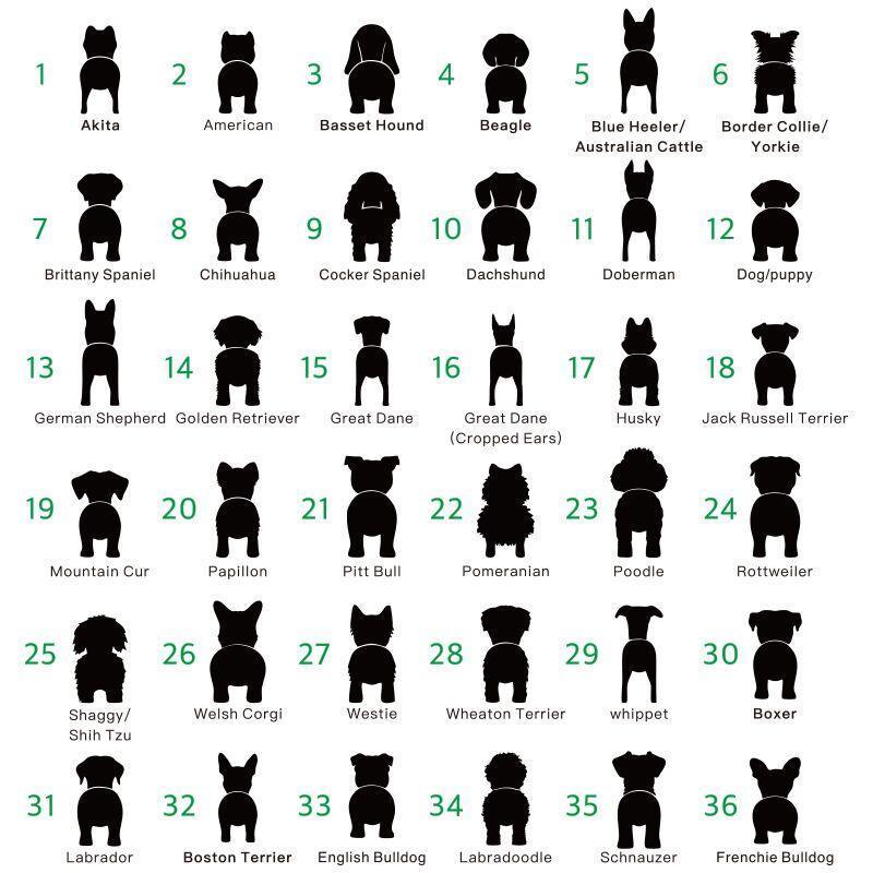 Personalized Dog Leash Holder - PetTagCollars.com