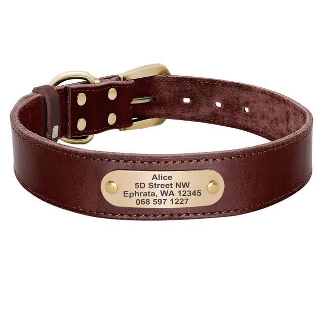 Personalized Genuine Leather Collar FancyPetTags