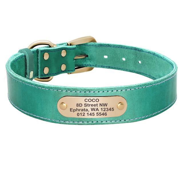 Personalized Genuine Leather Collar FancyPetTags