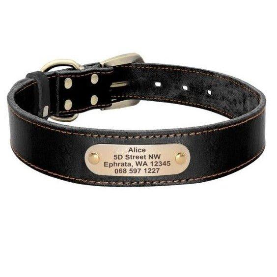 Personalized Genuine Leather Collar FancyPetTags