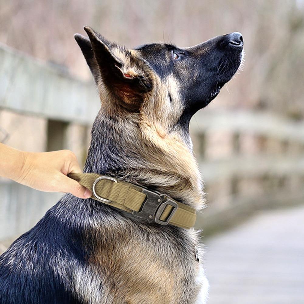 Tactical Dog Collar With Side Handle - www.FancyPetTags.com