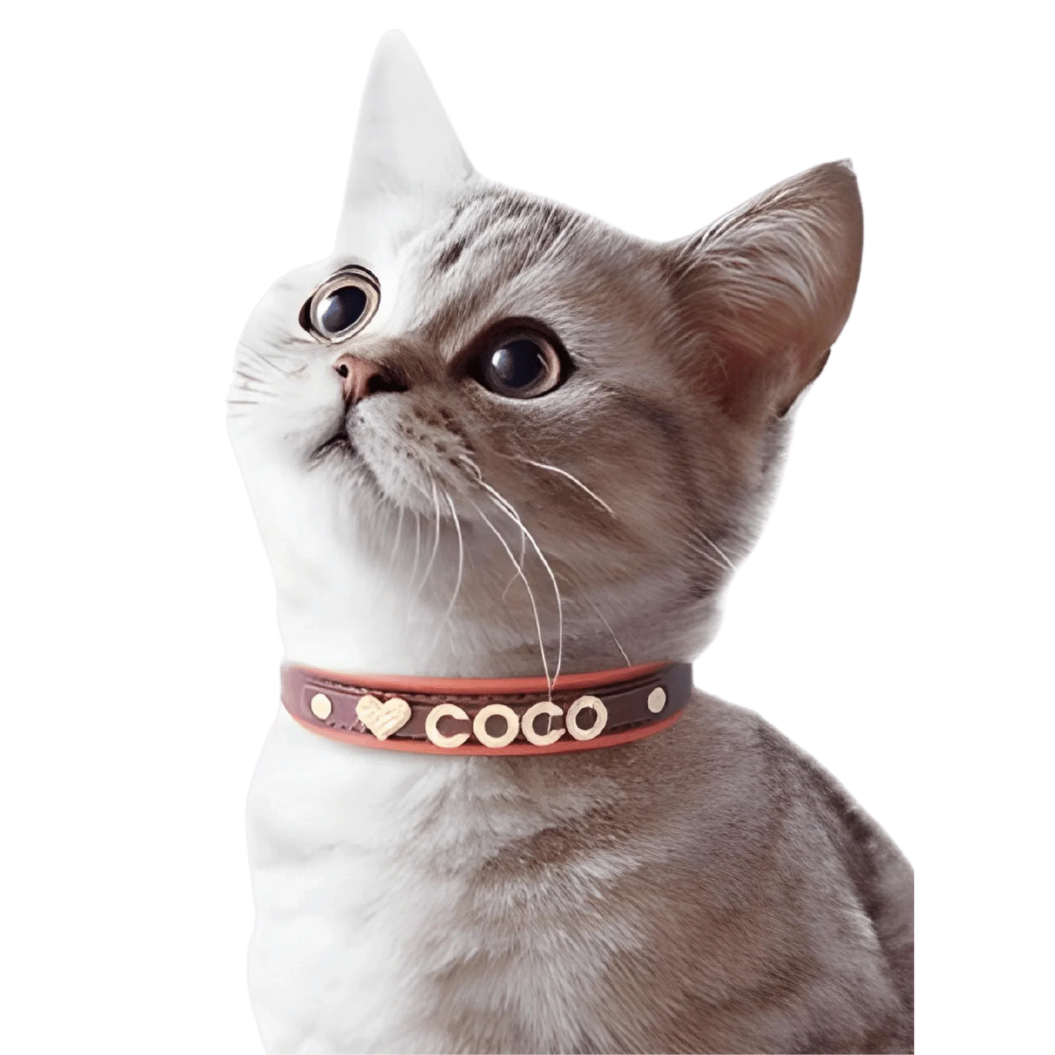 PetTagCollars Feline Collection - PetTagCollars.com
