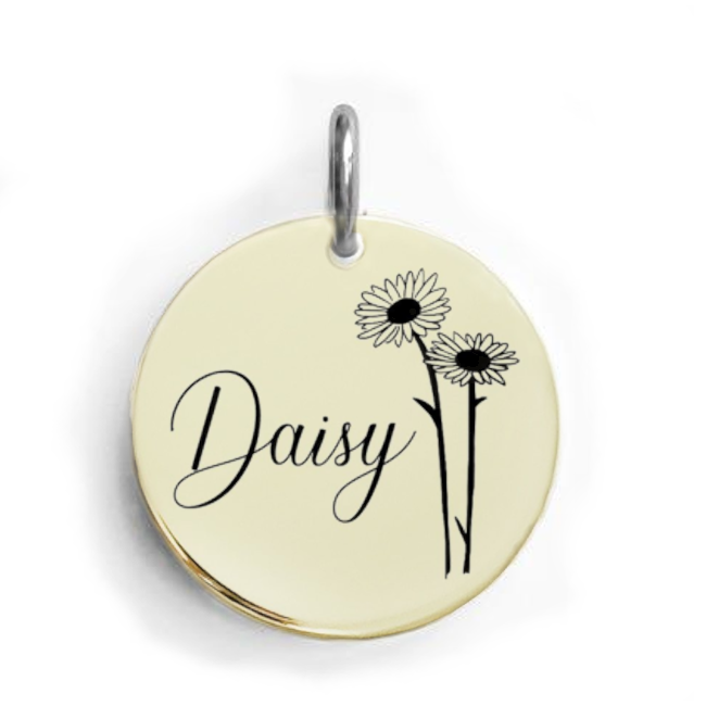 Pet Tags - PetTagCollars.com