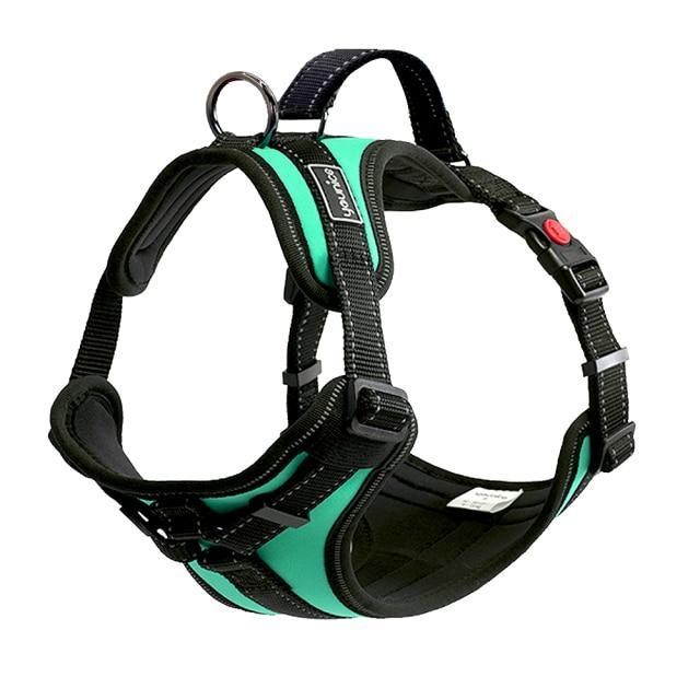 Harness - PetTagCollars.com