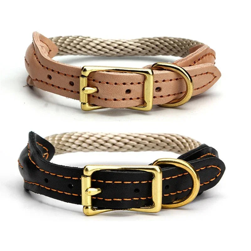 Collars - PetTagCollars.com
