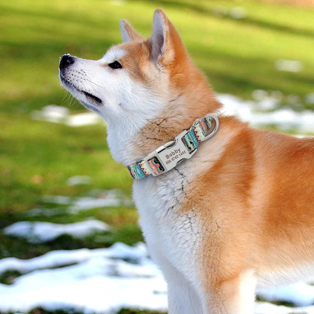 The Prism Collar: Graphic Patterned & Personalized