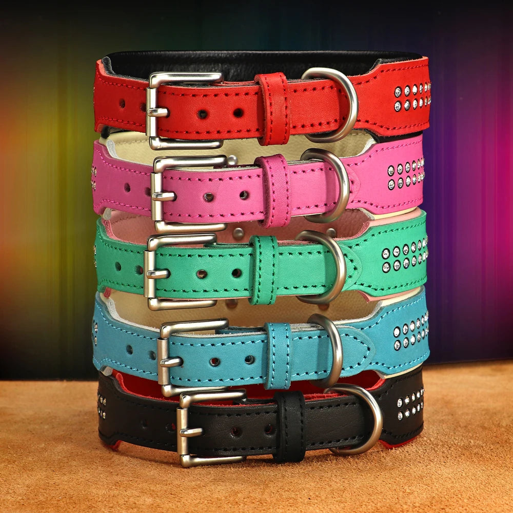 Dazzling Bling Bling Personalized Dog Collar