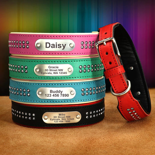 Dazzling Bling Bling Personalized Dog Collar