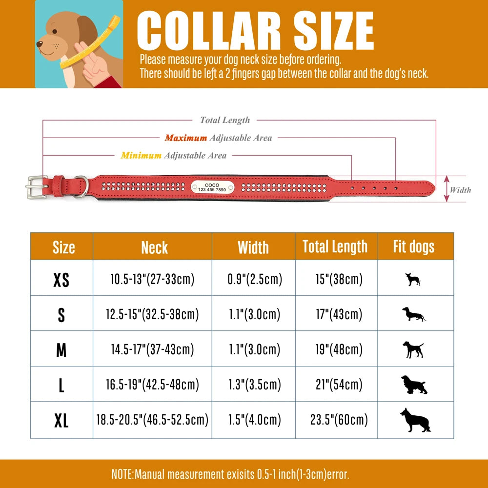 Dazzling Bling Bling Personalized Dog Collar