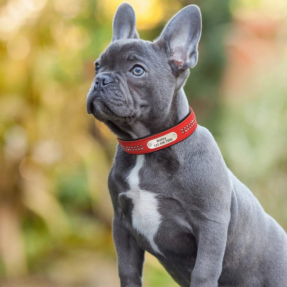 Dazzling Bling Bling Personalized Dog Collar