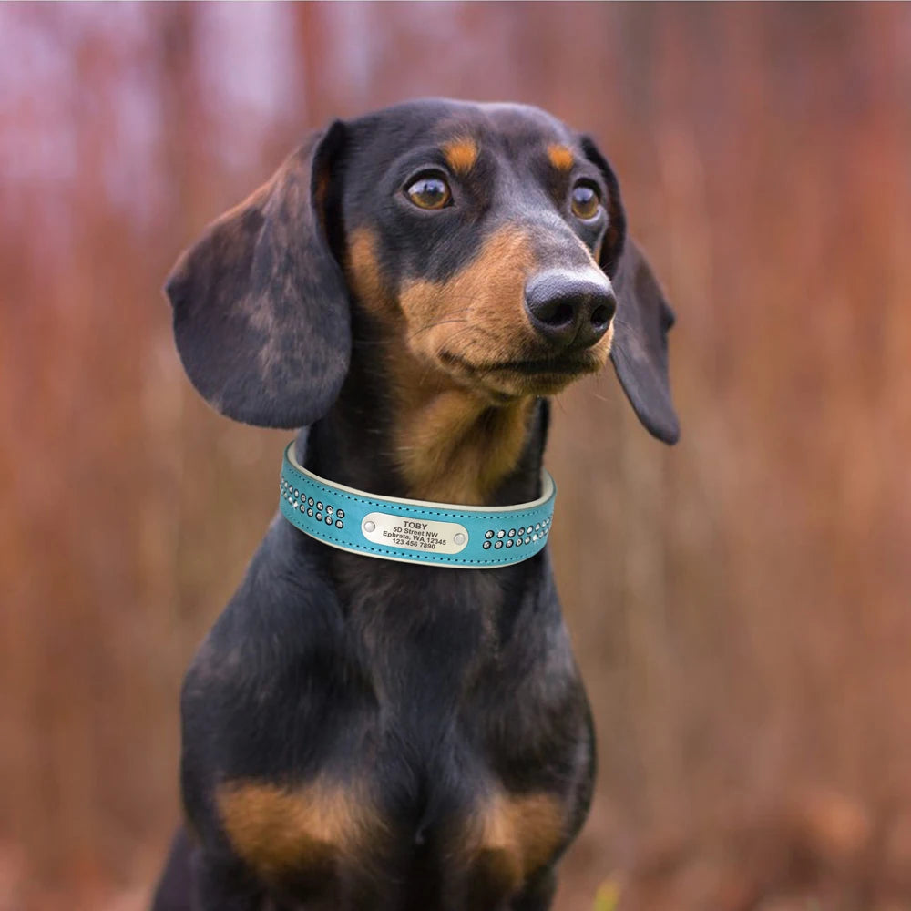 Dazzling Bling Bling Personalized Dog Collar