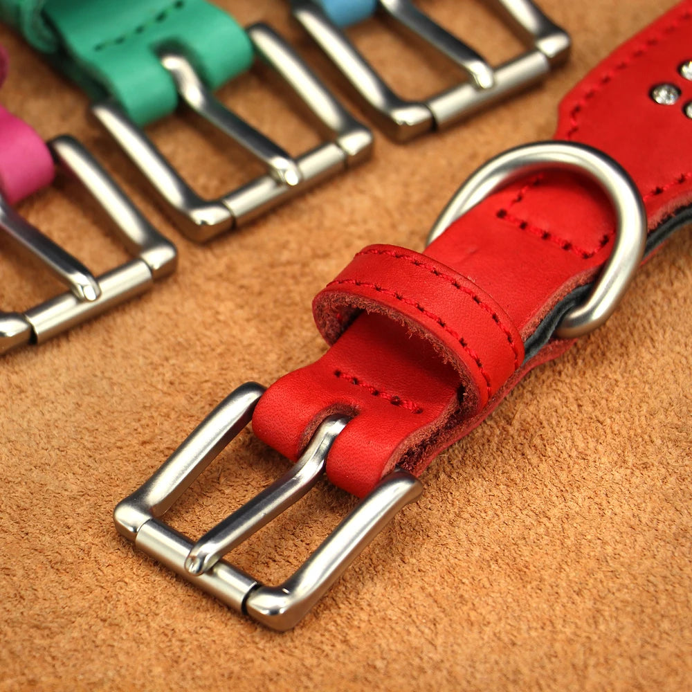 Dazzling Bling Bling Personalized Dog Collar