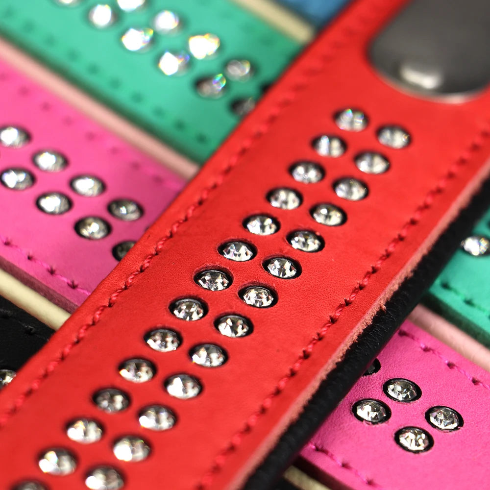 Dazzling Bling Bling Personalized Dog Collar