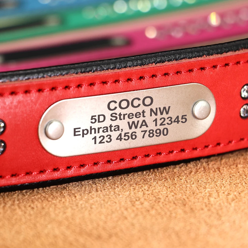 Dazzling Bling Bling Personalized Dog Collar