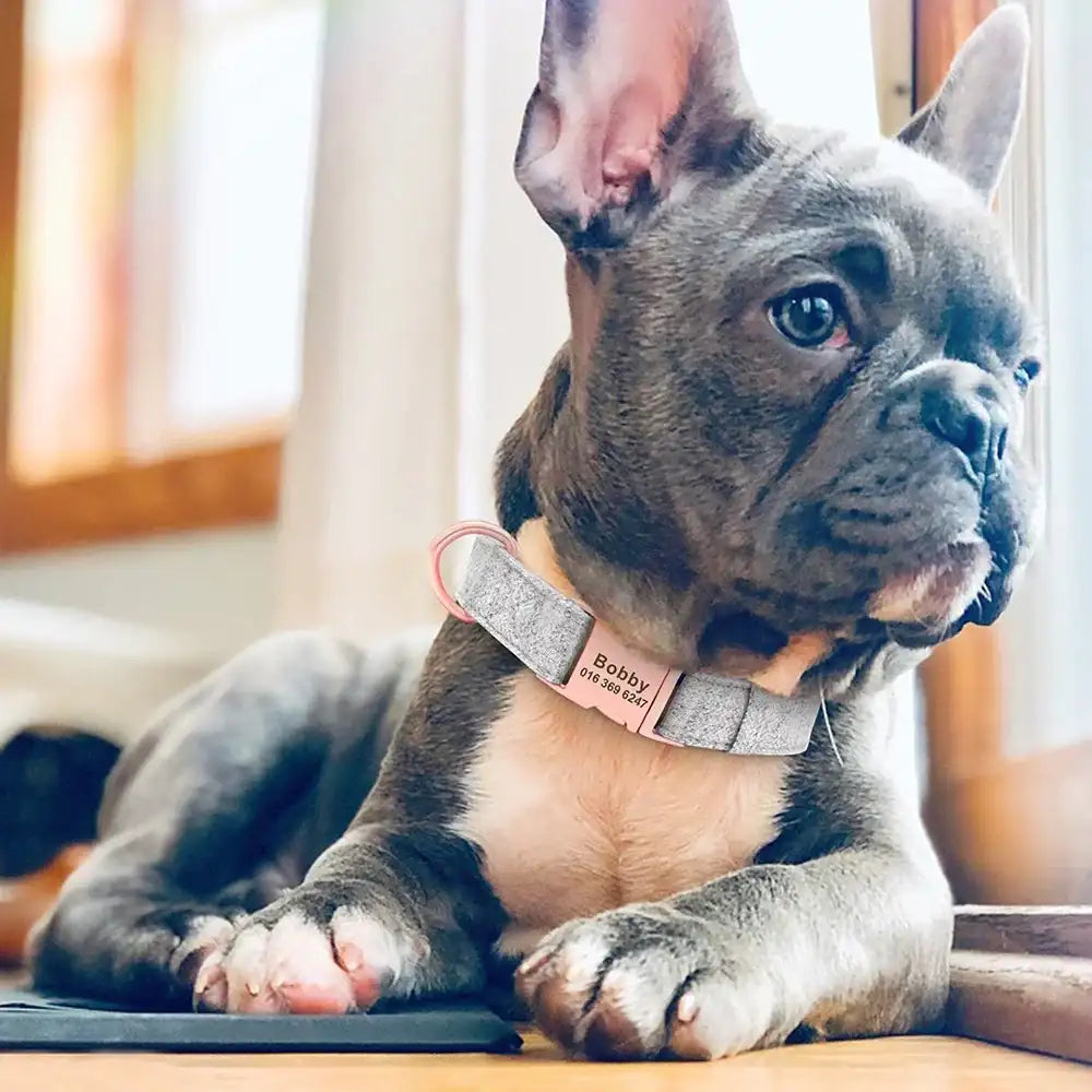 Rosy Paws Luxe Set - PetTagCollars.com