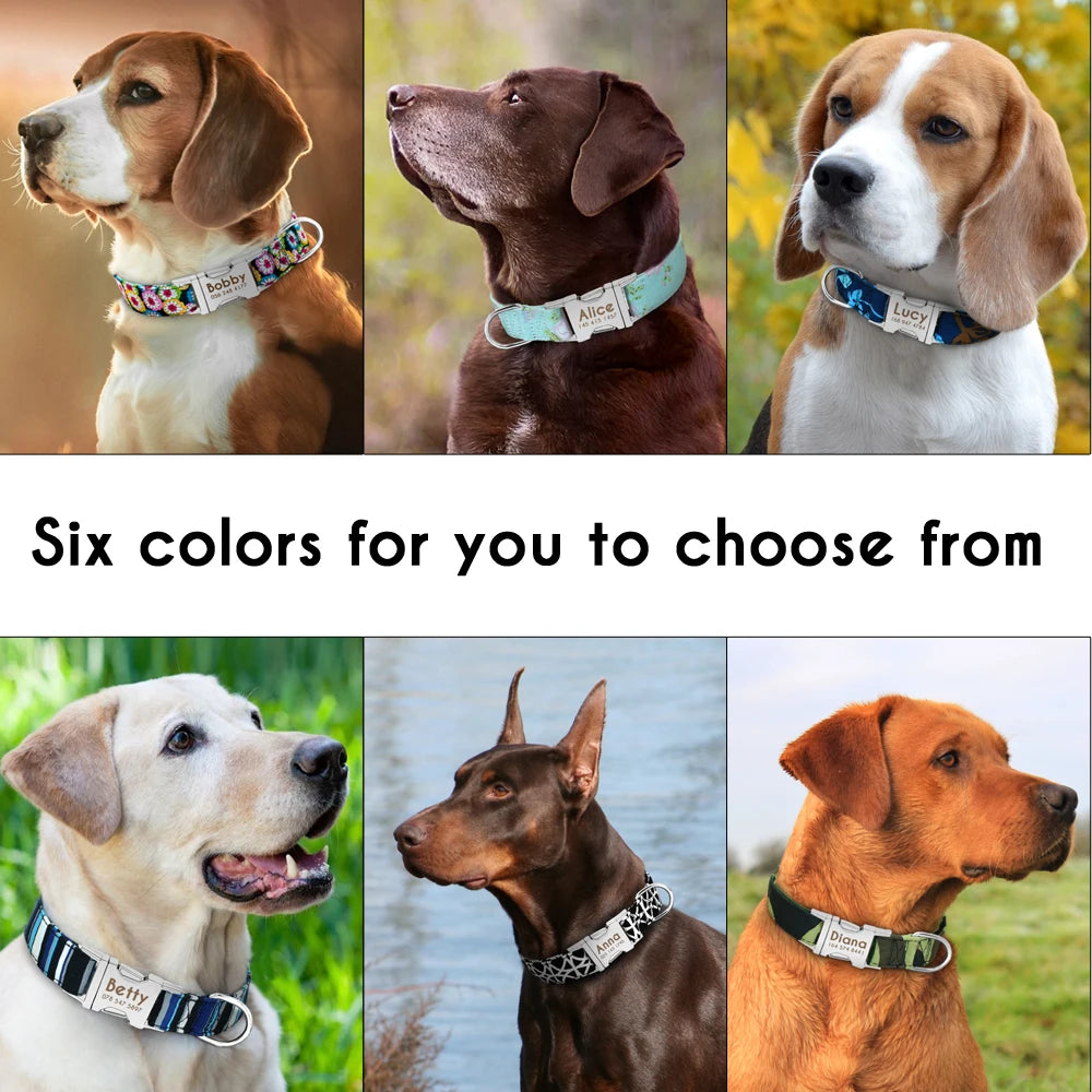 The Prism Collar: Graphic Patterned & Personalized