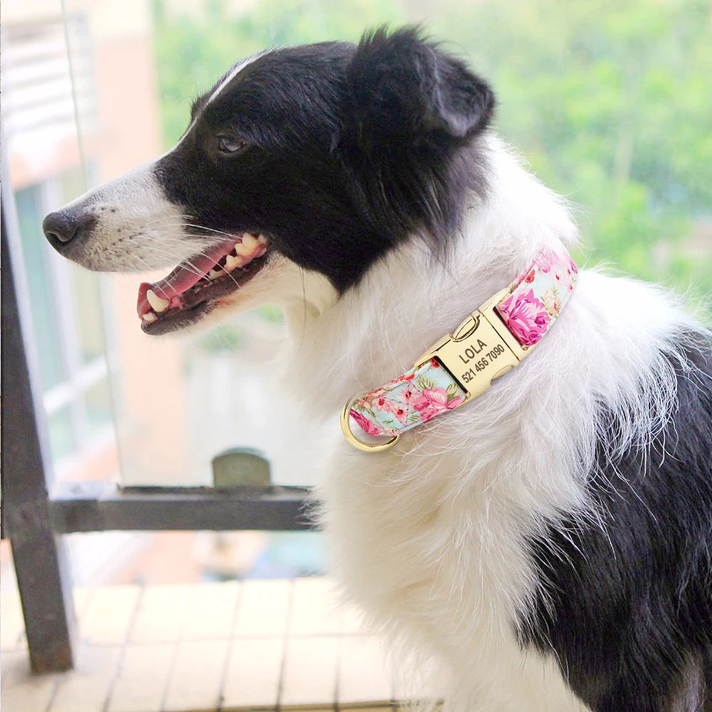 The Prism Collar: Graphic Patterned & Personalized
