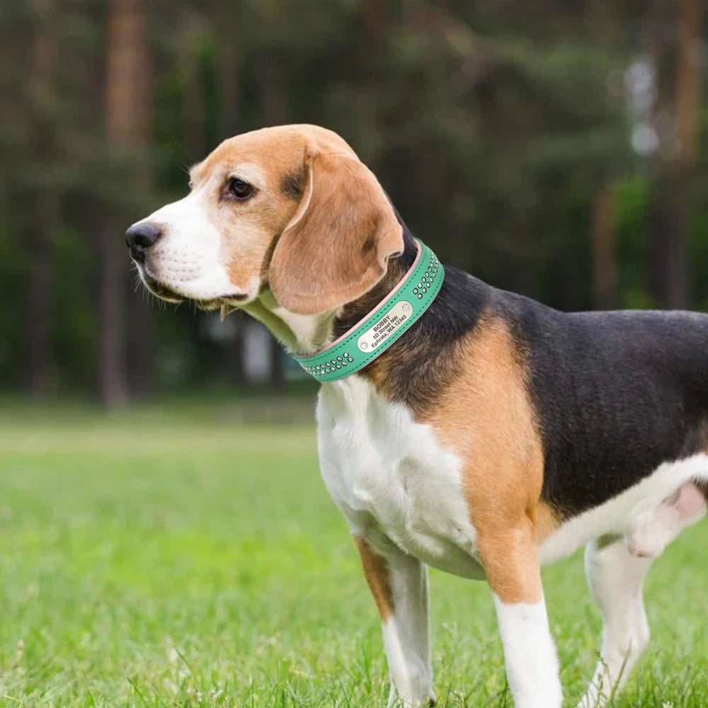 Dazzling Bling Bling Personalized Dog Collar