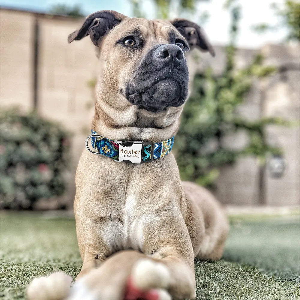 The Prism Collar: Graphic Patterned & Personalized
