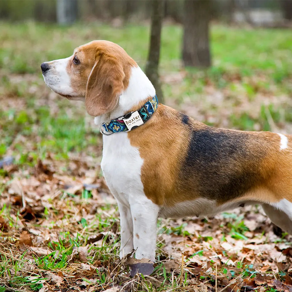 The Prism Collar: Graphic Patterned & Personalized