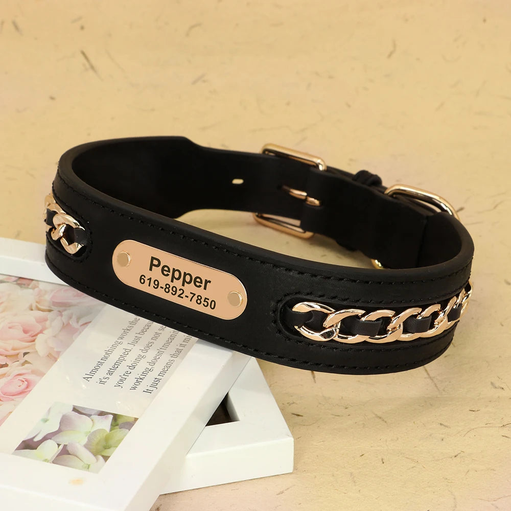 Dynasty Personalized Chain Collar